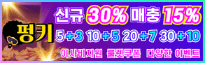 펑키 먹튀